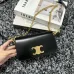 CELINE 2024 new handbag #A34855