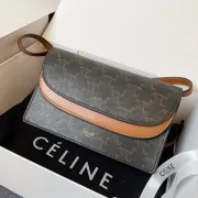 CELINE 2024 new handbag #A34856