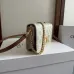 CELINE MULTIPOCHETTE in TRIOMPHE CANVAS AND CALFSKIN #A49260