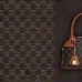 Celine Triomphe Canvas And Leather Handbag For Timeless Sophistication In Daily Use Description #A50044
