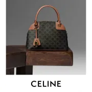 Celine Triomphe Canvas And Leather Handbag For Timeless Sophistication In Daily Use Description #A50044
