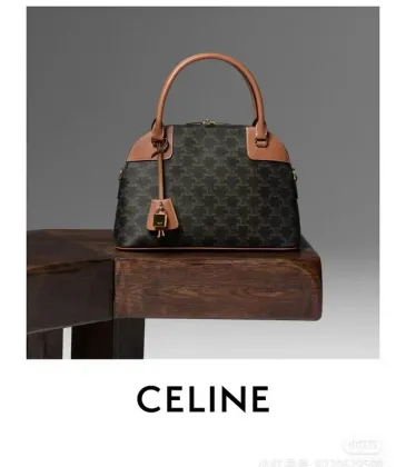 Celine Triomphe Canvas And Leather Handbag For Timeless Sophistication In Daily Use Description #A50044