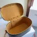 CELINE VANITY Cosmetic Case Pouch #A49256