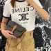 Celine Triomphe Pattern Saddle Bag in Brown and Black for Timeless Elegance size:20×14×5cm #A54102