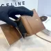 Celine Leather Wallet with Triomphe Closure #A46200