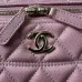 Chanel Pink Quilted Vanity Bag With Chain Strap And Top Handle Showcasing Timeless Luxury #A50413