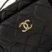 CHANEL Caviar Quilted Polly Pocket Pouch Hobo Black/White #A49188