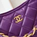 CHANEL Shiny Lambskin Quilted Small Hobo #A49163