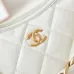 CHANEL Shiny Lambskin Quilted Small Hobo #A49163