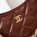CHANEL Shiny Lambskin Quilted Small Hobo #A49163