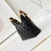 CHANEL Shiny Lambskin Quilted Small Hobo #A49163
