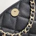 Chanel Quilted Hobo Bags In Classic And Pastel Shades For Timeless Luxury Looks #A50408
