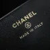Chanel Quilted Hobo Bags In Classic And Pastel Shades For Timeless Luxury Looks #A50408