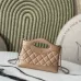 Chanel Quilted Handbags in Diverse Colorways and Styles for Timeless Chic size:17×20×5cm #A53910