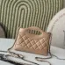 Chanel Quilted Handbags in Diverse Colorways and Styles for Timeless Chic size:17×20×5cm #A53910