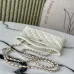 Chanel Quilted Handbags in Diverse Colorways and Styles for Timeless Chic size:17×20×5cm #A53910