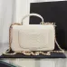 Chanel Python Skin Small Crossbody Leather Bag #A49181
