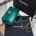 Chanel Python Skin Small Crossbody Leather Bag #A49181