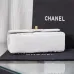 Chanel Python Skin Small Crossbody Leather Bag #A49181