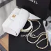 Chanel Python Skin Small Crossbody Leather Bag #A49181