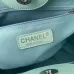 Chanel Shoulder bag original AAA+ Quality #A33449