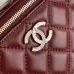 Luxury Quilted Leather Chanel Inspired Vanity Crossbody Handbags in Multiple Colors for Elegant Outfits #A50938