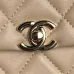 Chanel Gold Quilted Leather Mini Flap Bag With Chain Strap For Luxe Everyday Styling #A50045