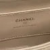 Chanel Gold Quilted Leather Mini Flap Bag With Chain Strap For Luxe Everyday Styling #A50045