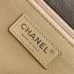 Chanel Classic Quilted Flap Bags in Diverse Colors and Textures #A50982
