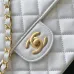 Chanel shoulder bags High Quality #A47939