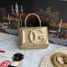 D&amp;G High Quality Handbag Size:13.5×17.5×6.5cm #A47937
