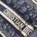 Chic Christian Dior Crossbody Bag With Signature Oblique Pattern And Branded Strap #A50085