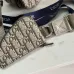 Dior Beige Oblique Pattern Crossbody Bag With Signature Strap And Pouch  size:23×17×4cm #A54108
