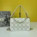 Dior AAA+ Handbags #999926870