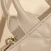 Dior Lady D - Joy Bags In Varied Colors And Quilted Design size:21×13×7cm #A53704