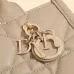 Dior Lady D - Joy Bags In Varied Colors And Quilted Design size:21×13×7cm #A53704