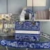Dior Lady D - Lite Bag With Blue Toile De Jouy Print And Branded Strap size:24×20×11cm #A53708