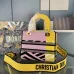 Dior Lady D - Lite Bag With Vibrant Pink And Artistic Embellishments size:24×20×11cm #A53709