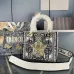 Dior Lady D - Lite Bag With Vibrant Pink And Artistic Embellishments size:24×20×11cm #A53709