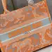 Dior book tote AAA+ Handbags #999926120