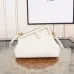 Fendi Women's Clutch Bags  Classic Frame Design in Multiple Colors with Luxe Leather for Fashion Connoisseurs top quality #A56298