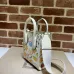 Gucci Mini Tote Bags With Cute Cartoon Character Prints Dual Design #A52726