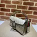 Gucci Dionysus GG Supreme Canvas Crossbody Bags With Signature Buckle size:25×14×4cm #A53686