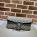 Gucci Dionysus GG Supreme Canvas Crossbody Bags With Signature Buckle size:25×14×4cm #A53686