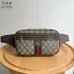 Stylish Gucci Waist Pack Featuring GG Logo #A45658