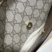 Gucci GG Monogram Canvas Crossbody Bags With Leather Accents size:22×20×6cm #A53678