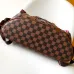 Louis Vuitton Damier Ebene Backpack With Special Graphic And Leather Accents #A51215