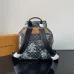 Louis Vuitton Damier Graphite Backpack With Tropical Print And Palm Tree Motifs size:34×40×17cm #A53369