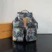 Louis Vuitton Damier Graphite Backpack With Tropical Print And Palm Tree Motifs size:34×40×17cm #A53369
