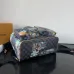 Louis Vuitton Damier Graphite Backpack With Tropical Print And Palm Tree Motifs size:34×40×17cm #A53369